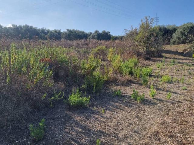 Terreno in vendita a Bagheria, Sicilia