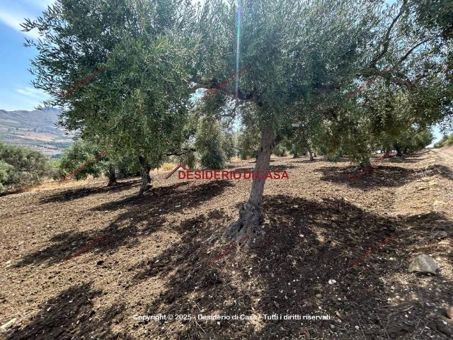 Terreno in vendita a Bagheria, Sicilia