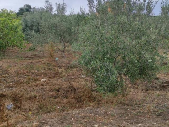 Terreno in vendita a Bagheria, Sicilia