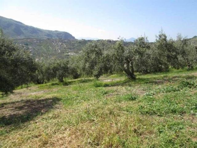 Terreno in vendita a Bagheria, Sicilia