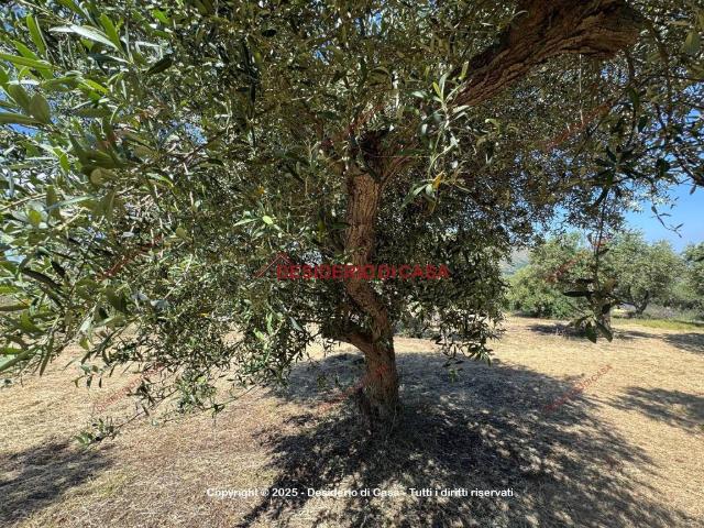 Terreno in vendita a Bagheria, Sicilia