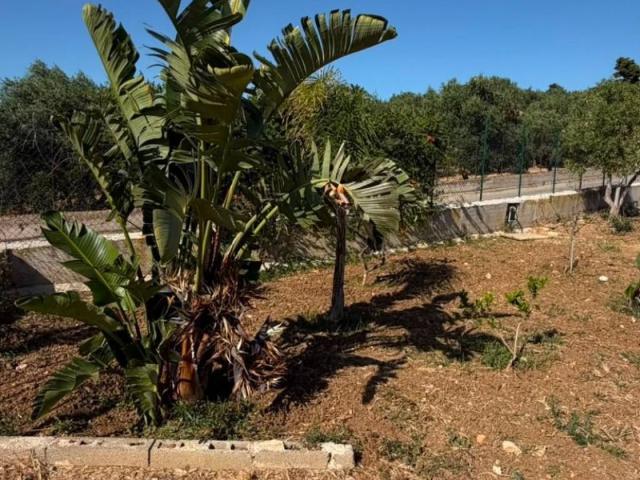 Terreno in vendita a Bagheria, Sicilia