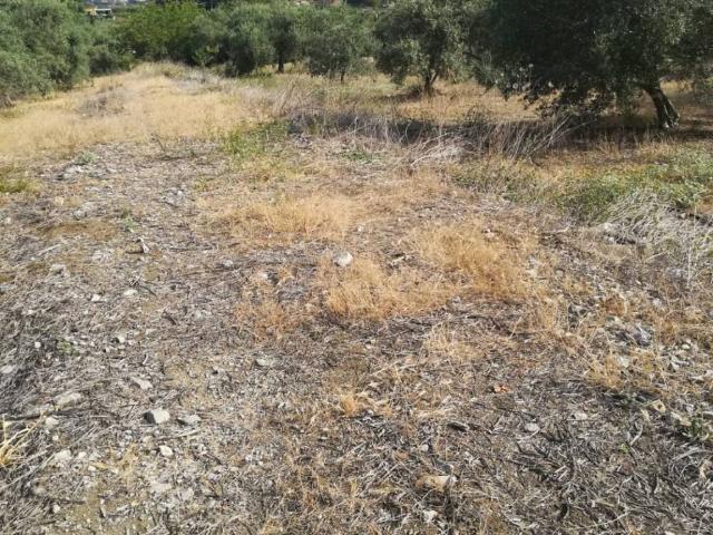 Terreno in vendita a Bagheria, Sicilia