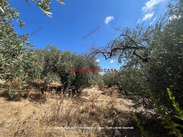 Terreno in vendita a Bagheria, Sicilia