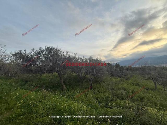 Terreno in vendita a Bagheria, Sicilia