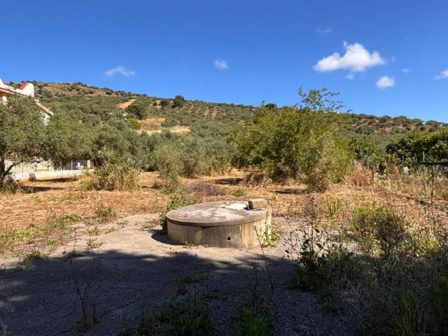 Terreno in vendita a Bagheria, Sicilia