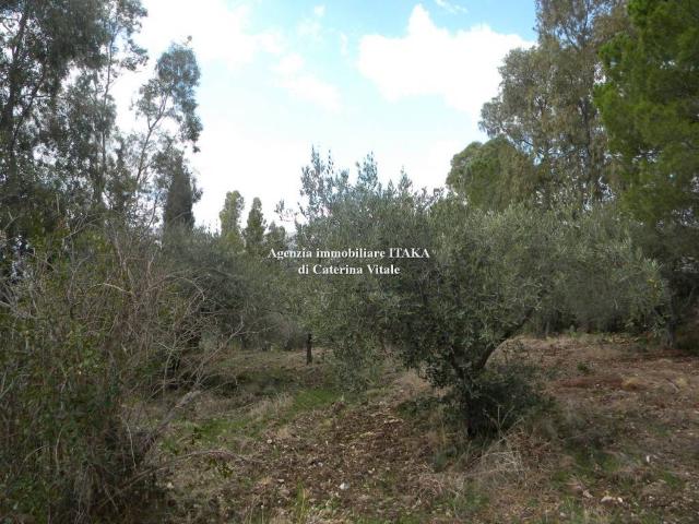 Terreno in vendita a Bagheria, Sicilia