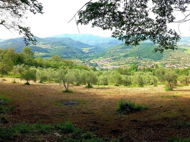 Terreno in vendita a Le Case, Bagno a Ripoli