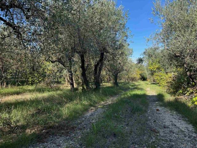 Terreno in vendita a Antella, Bagno a Ripoli
