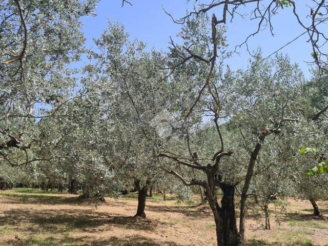 Terreno in vendita a Bagno A Ripoli, Toscana