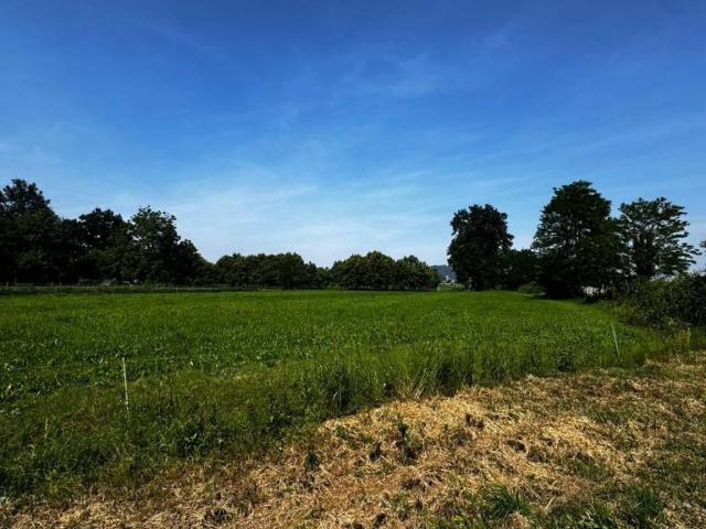 Terreno in vendita a Piemonte, Cuneo