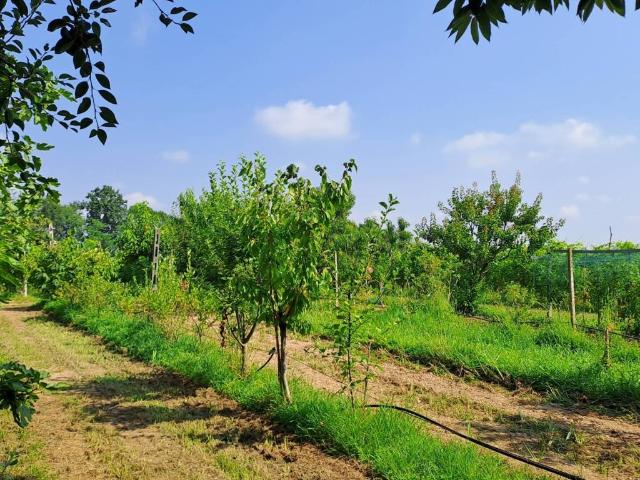 Terreno in vendita a San Maurizio, Piemonte