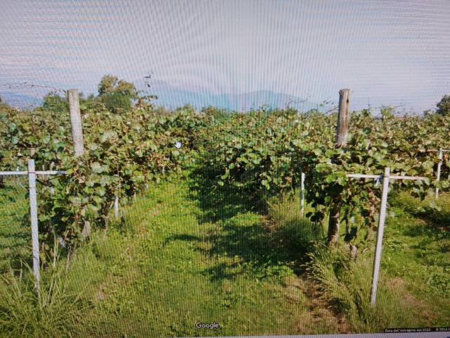 Terreno in vendita a Piemonte, Cuneo