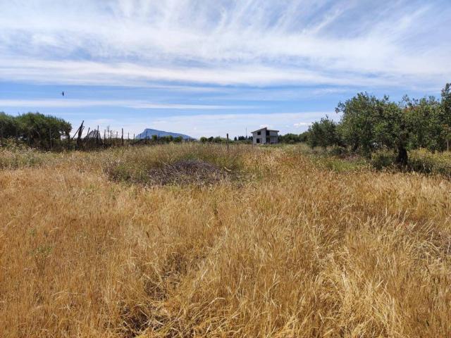 Terreno in vendita a Balestrate, Sicilia