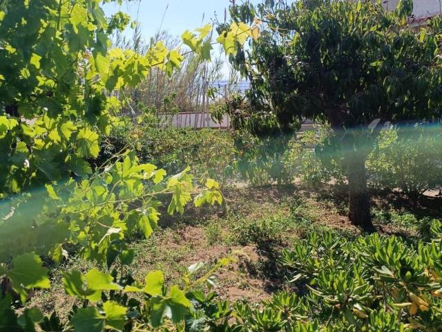 Terreno in vendita a Balestrate, Sicilia