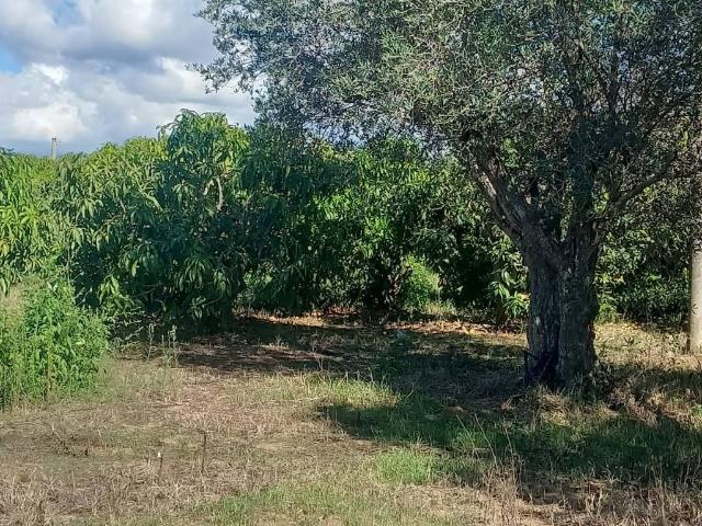 Terreno in vendita a Balestrate, Sicilia
