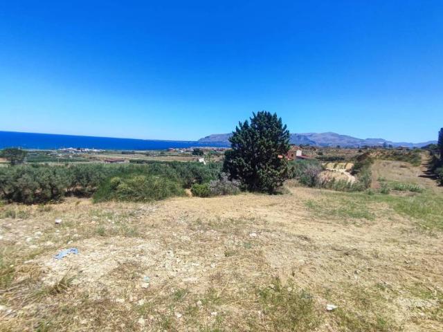 Terreno in vendita a Partinico, Sicilia