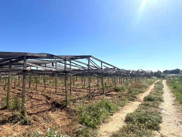 Terreno in vendita a Balestrate, Sicilia