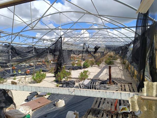 Terreno in vendita a Balestrate, Sicilia