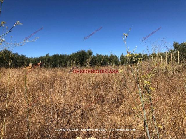 Terreno in vendita a Balestrate, Sicilia