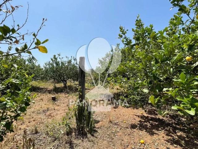 Terreno in vendita a Balestrate, Sicilia
