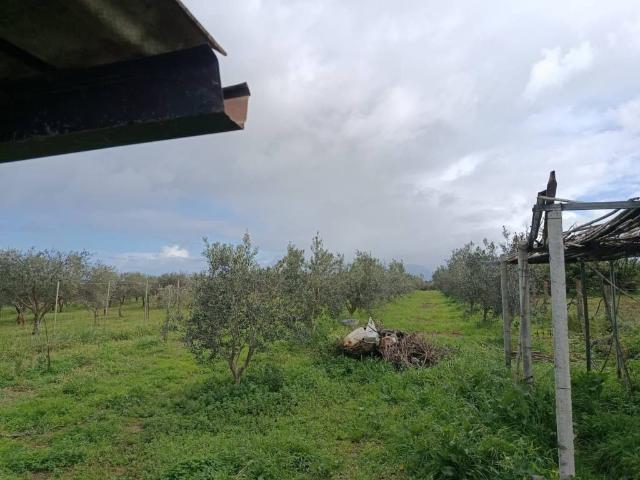 Terreno in vendita a Balestrate, Sicilia