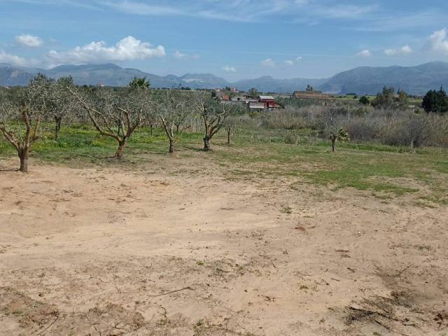 Terreno in vendita a Balestrate, Sicilia