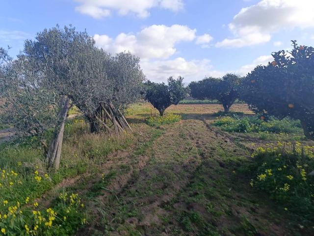 Terreno in vendita a Balestrate, Sicilia