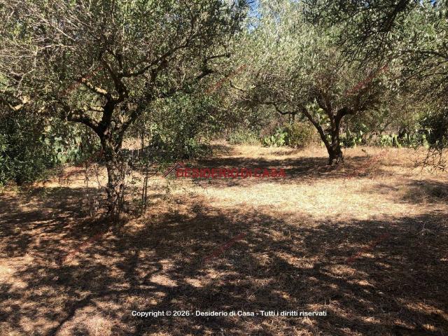 Terreno in vendita a Balestrate, Sicilia