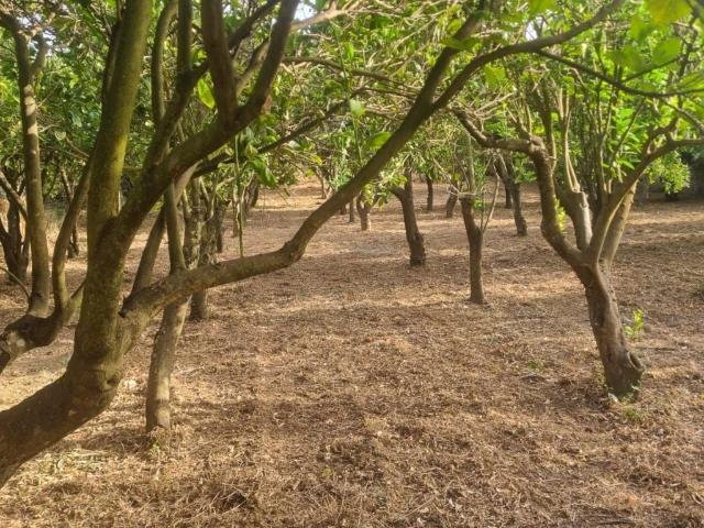 Terreno in vendita a Baratili San Pietro, Sardigna/Sardegna