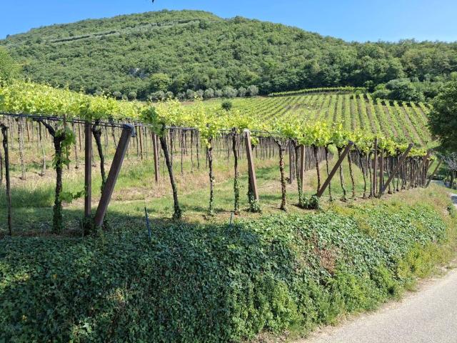 Terreno in vendita a Barbarano Mossano, Barbarano Vicentino