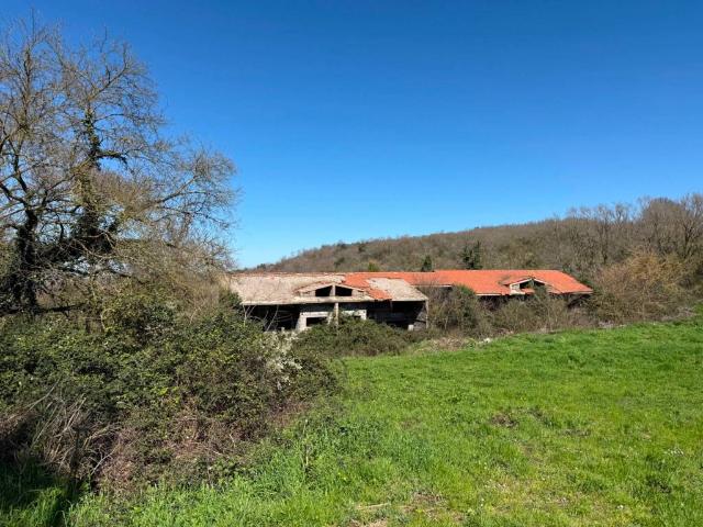 Terreno in vendita a Barbarano Romano, Lazio