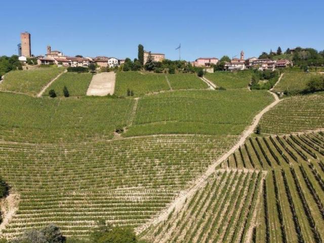 Terreno in vendita a Piemonte, Cuneo
