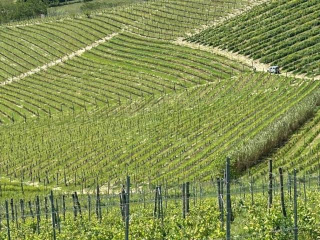 Terreno in vendita a Piemonte, Cuneo