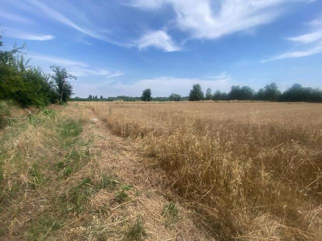 Terreno in vendita a Barbariga, Lombardia