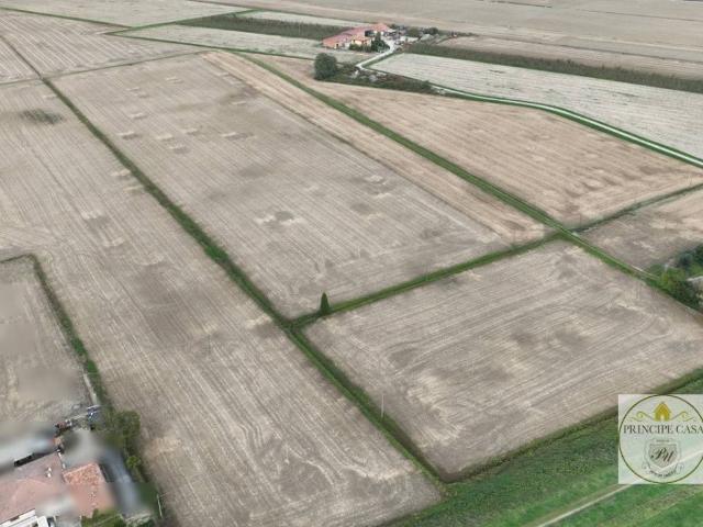 Terreno in vendita a Spino Lusia, Veneto