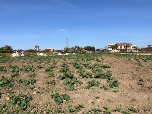 Terreno in vendita a Barcellona Pozzo Di Gotto, Sicilia