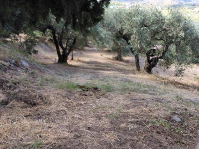 Terreno in vendita a Femminamorta, Barcellona Pozzo di Gotto