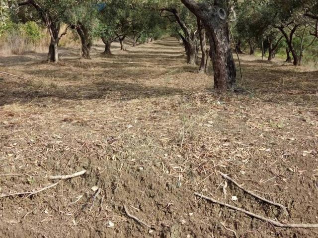 Terreno in vendita a Oreto, Barcellona Pozzo Di Gotto