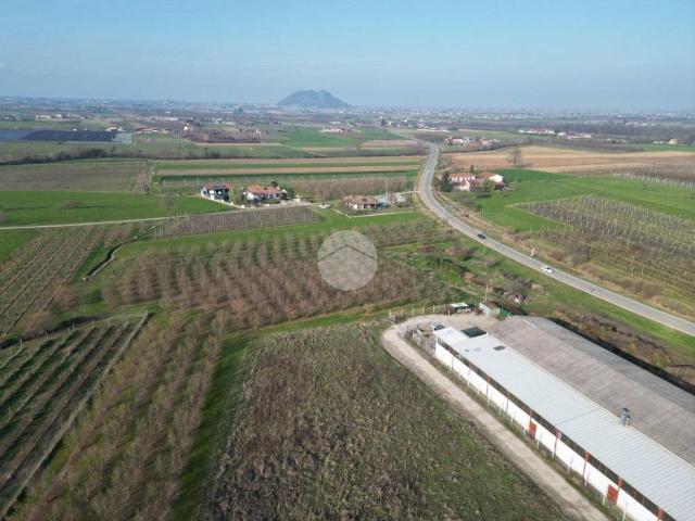 Terreno in vendita a Piemonte, Cuneo