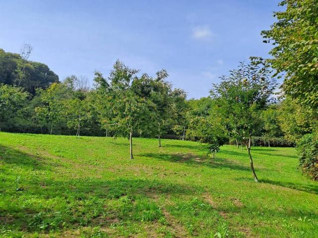 Terreno in vendita a Piemonte, Cuneo