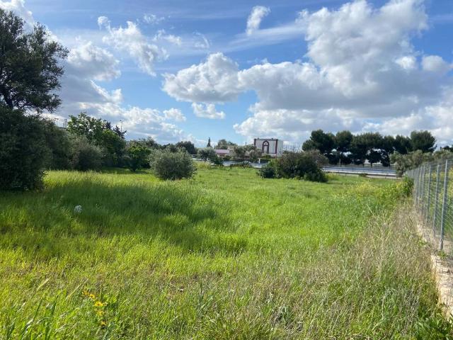 Terreno in vendita a Municipio 1, Puglia