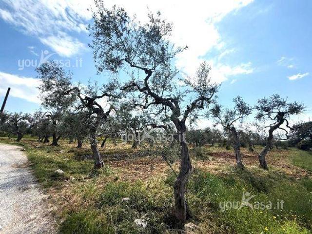 Terreno in vendita a Municipio 4, Puglia