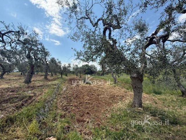 Terreno in vendita a Municipio 4, Puglia
