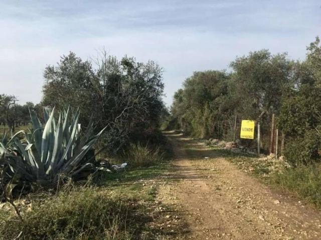 Terreno in vendita a Ceglie del Campo, Bari
