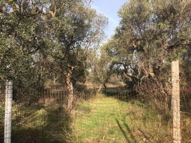 Terreno in vendita a Municipio 4, Puglia