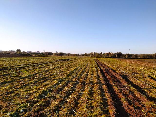 Terreno in vendita a Picone, Bari