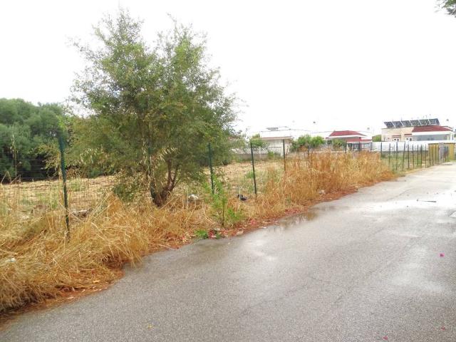 Terreno in vendita a Municipio 1, Puglia