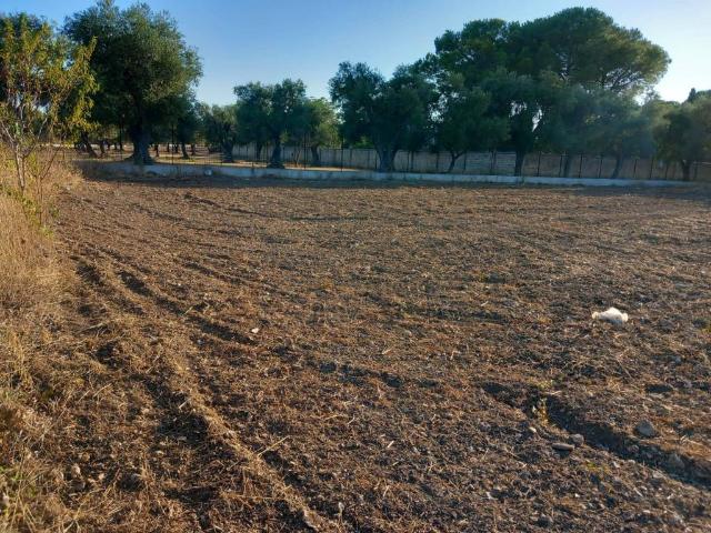 Terreno in vendita a Municipio 4, Puglia