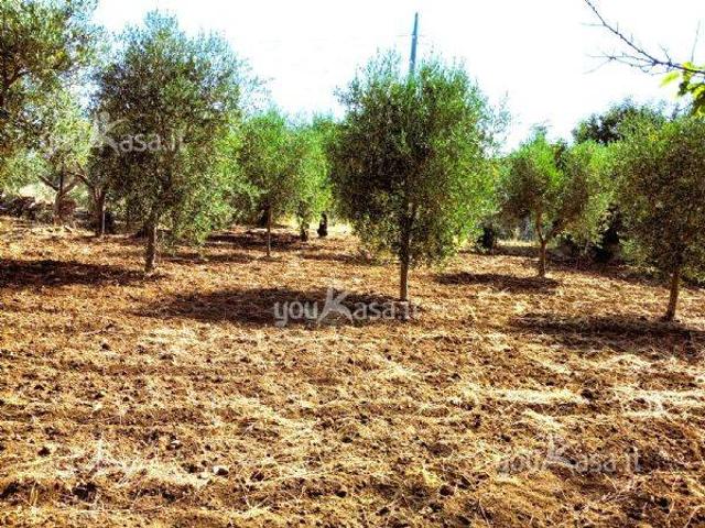 Terreno in vendita a Municipio 4, Puglia